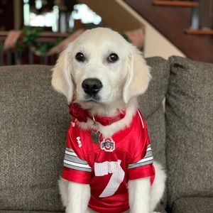 Meet your Posher, Max